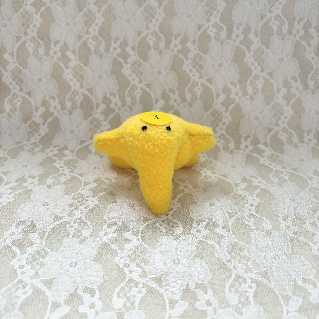 ホシゾウ ☆彡 ③