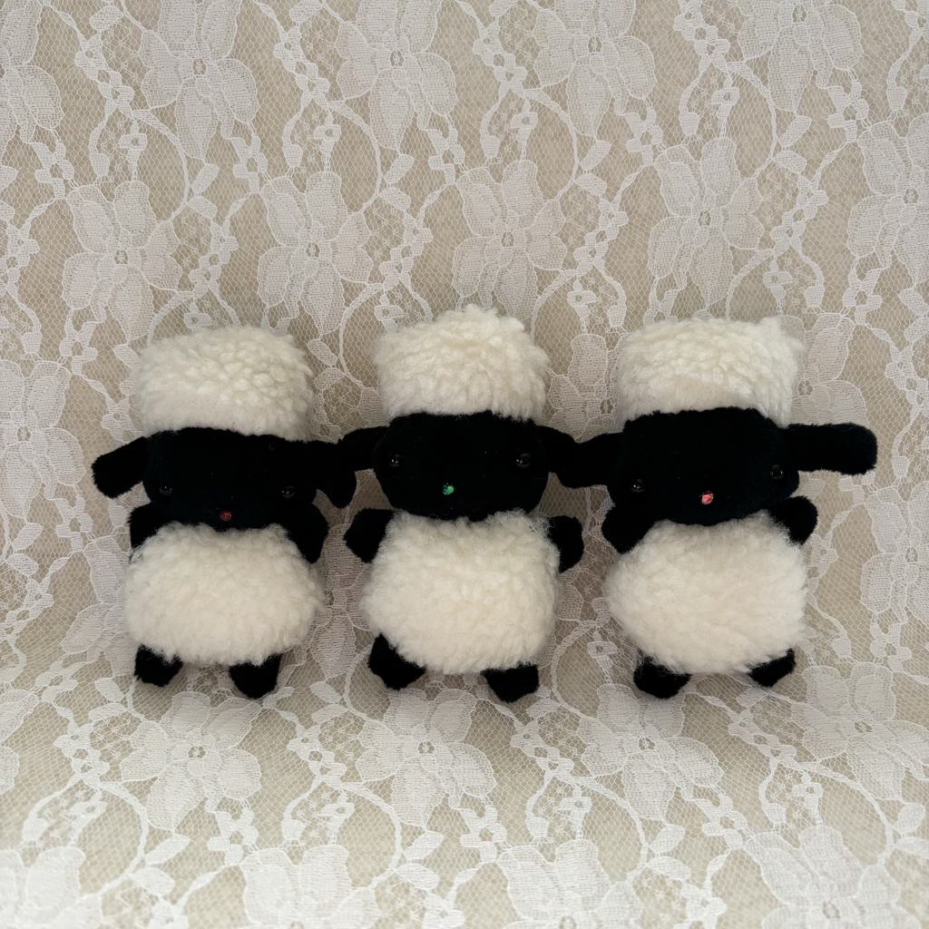角刈り黒ひつじちゃん‼️(あか)
