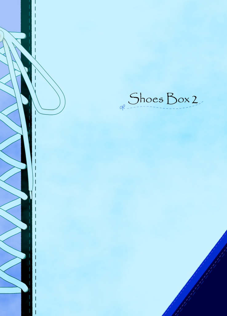 Shoes Box2