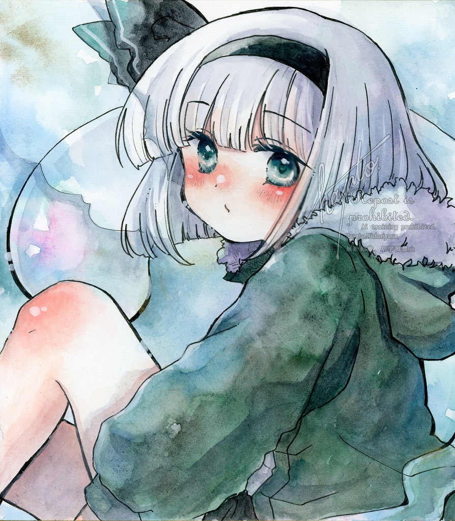 大色紙　魂魄妖夢