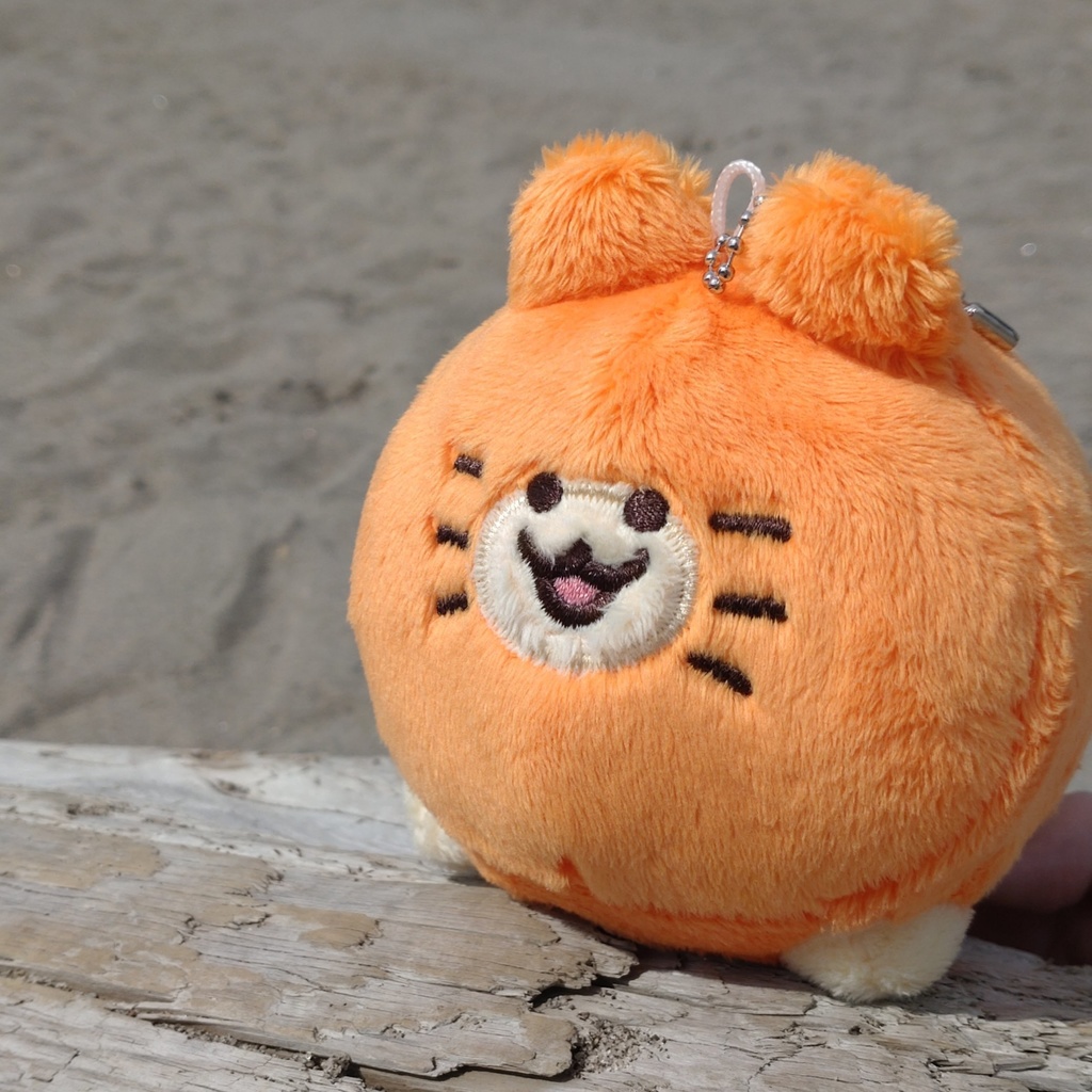 血統書つき!飼えるみかんねこ(家ねこサイズ)