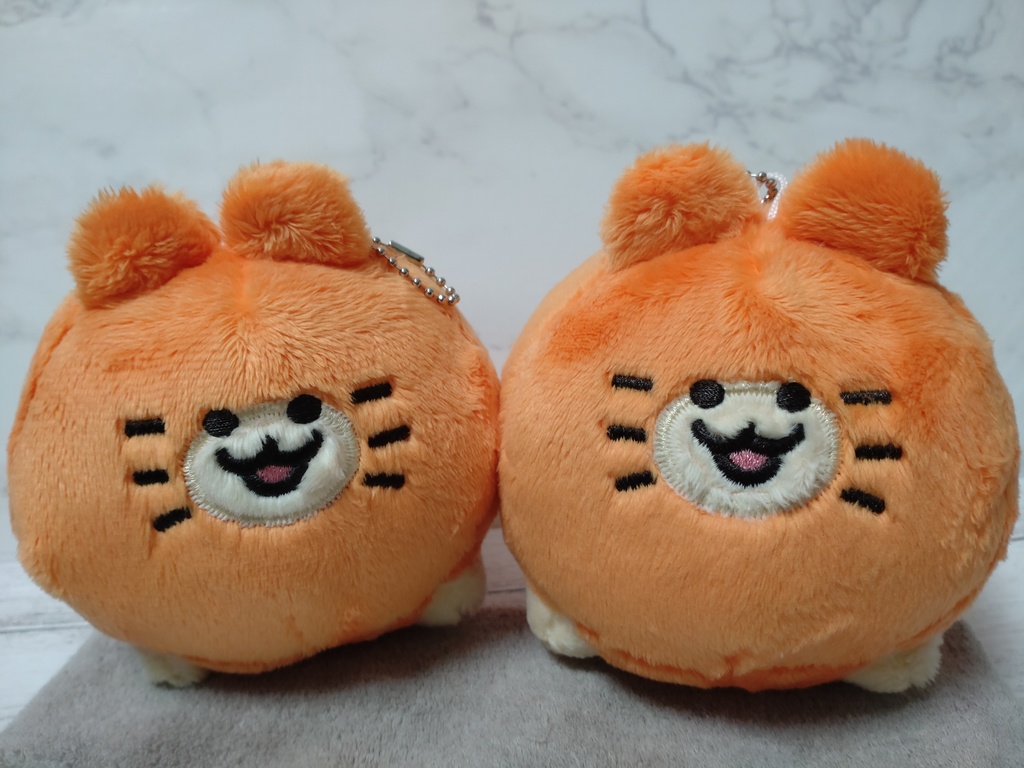 血統書つき!飼えるみかんねこ(家ねこサイズ)