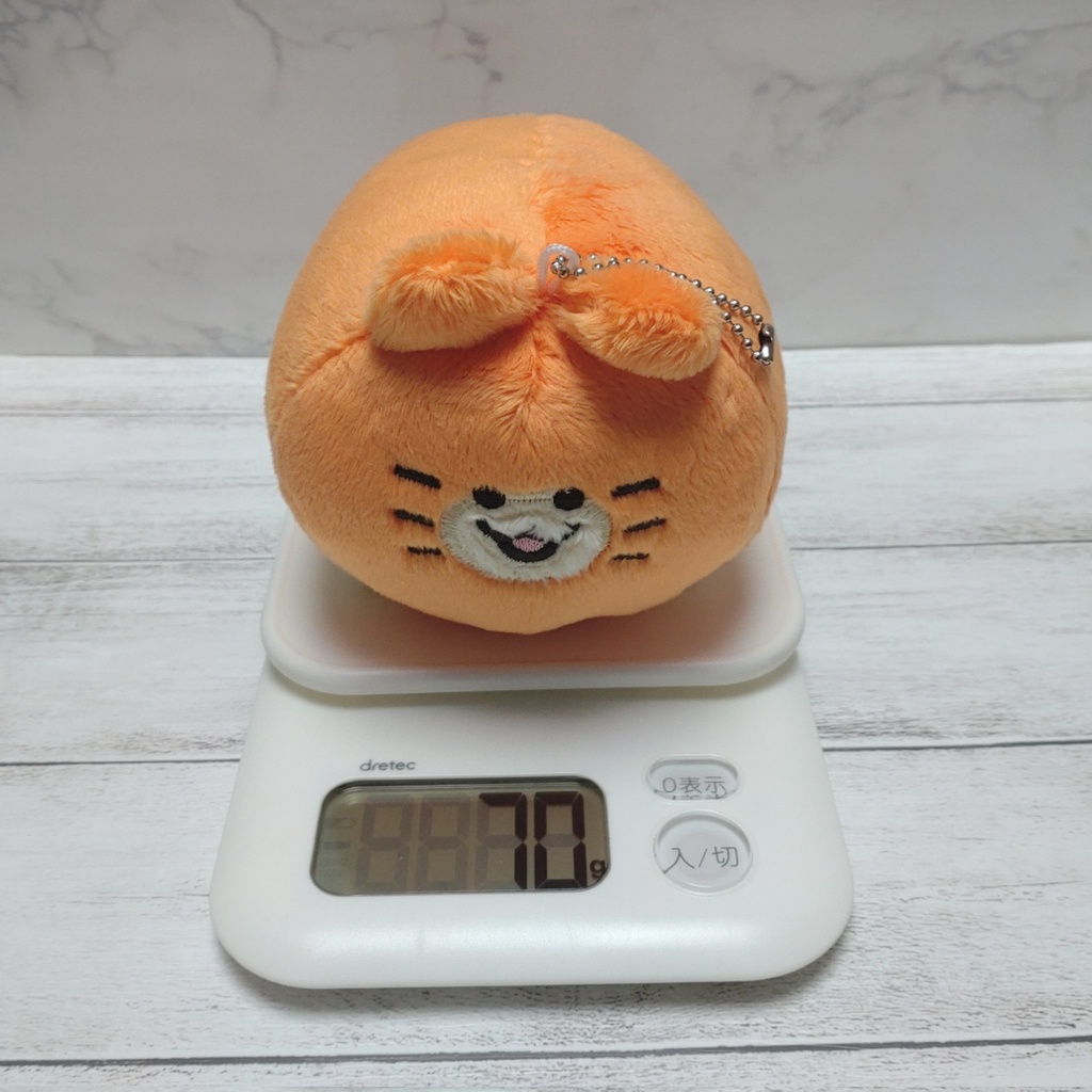 血統書つき!飼えるみかんねこ(家ねこサイズ)