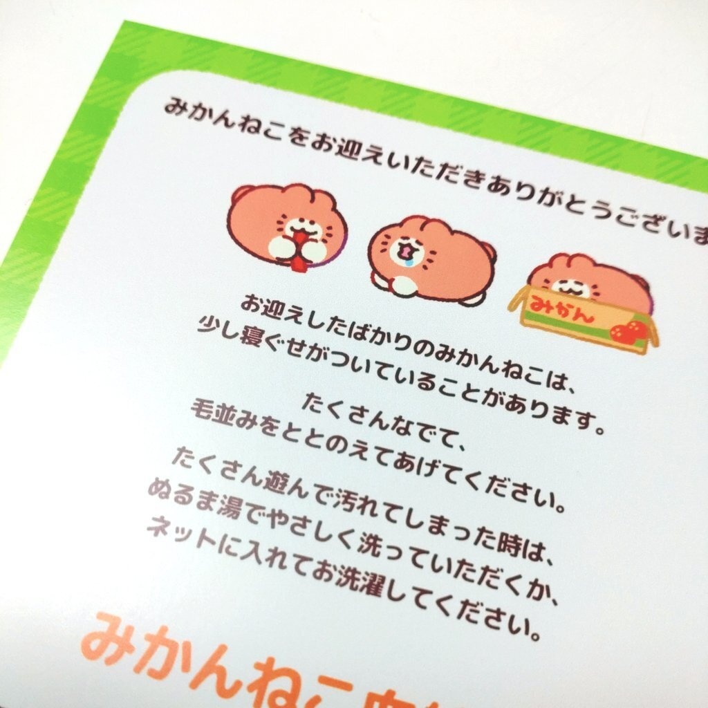 血統書つき!飼えるみかんねこ(家ねこサイズ)