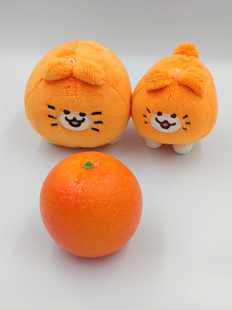 血統書つき!飼えるみかんねこ(家ねこサイズ)