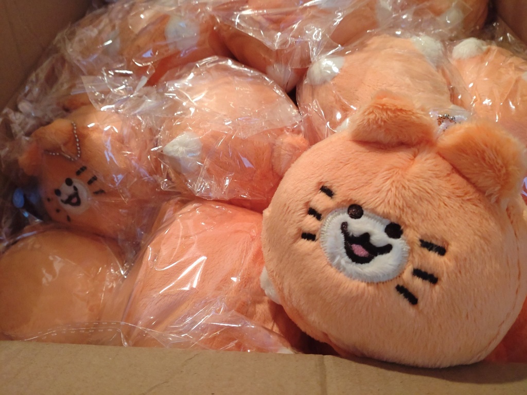 血統書つき!飼えるみかんねこ(家ねこサイズ)