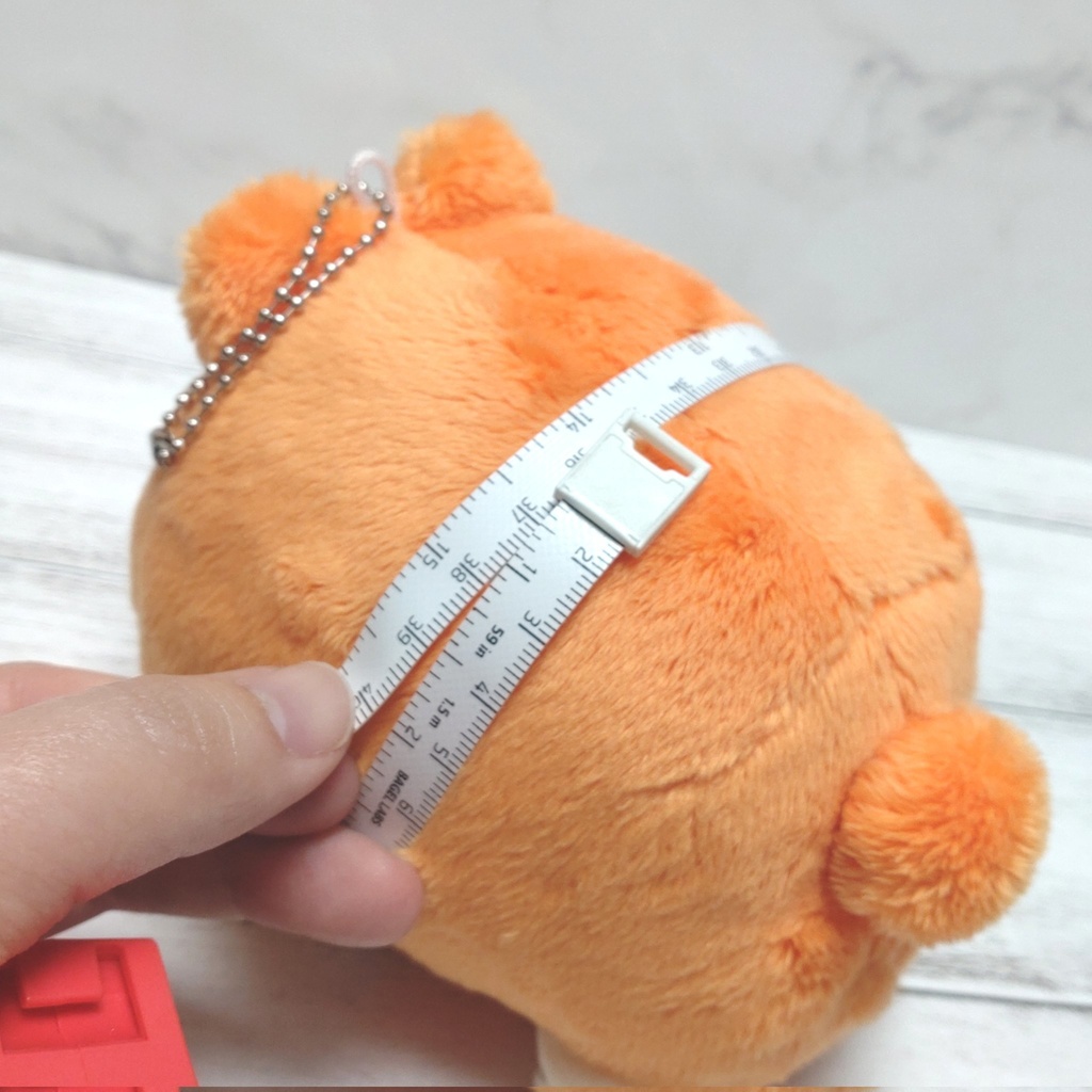 血統書つき!飼えるみかんねこ(家ねこサイズ)