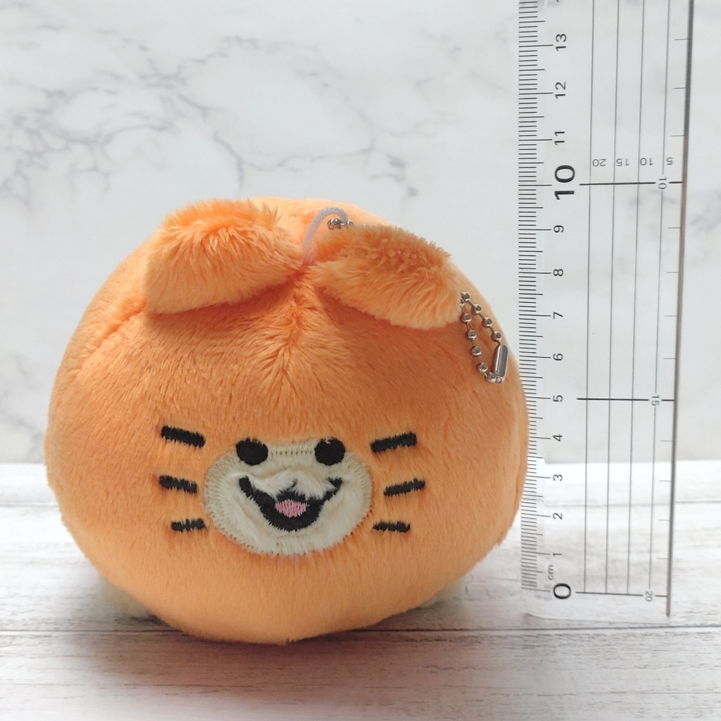 血統書つき!飼えるみかんねこ(家ねこサイズ)