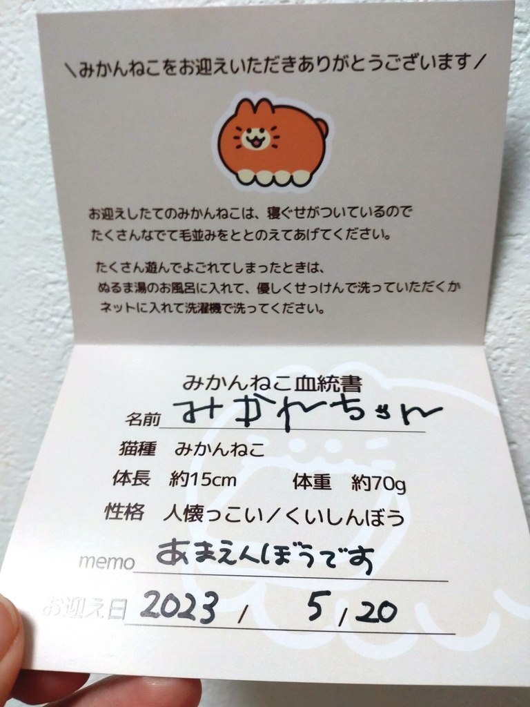 血統書つき!飼えるみかんねこ(家ねこサイズ)