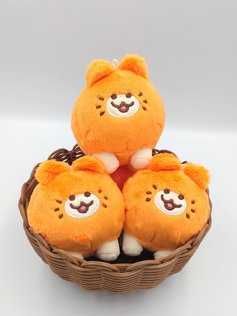 血統書つき!飼えるみかんねこ(おさんぽサイズ)