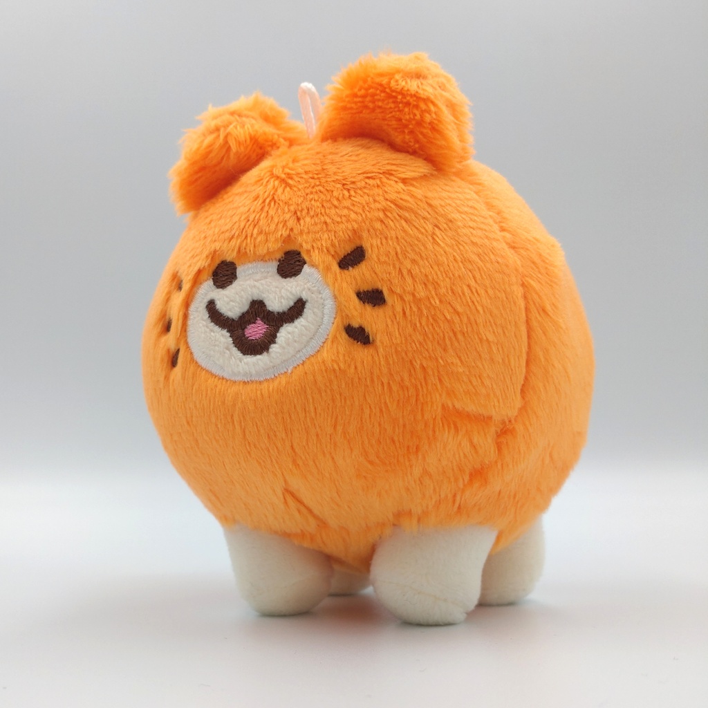 血統書つき!飼えるみかんねこ(おさんぽサイズ)