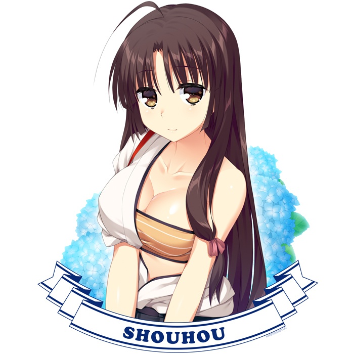 【受付終了】祥鳳Ｔシャツ