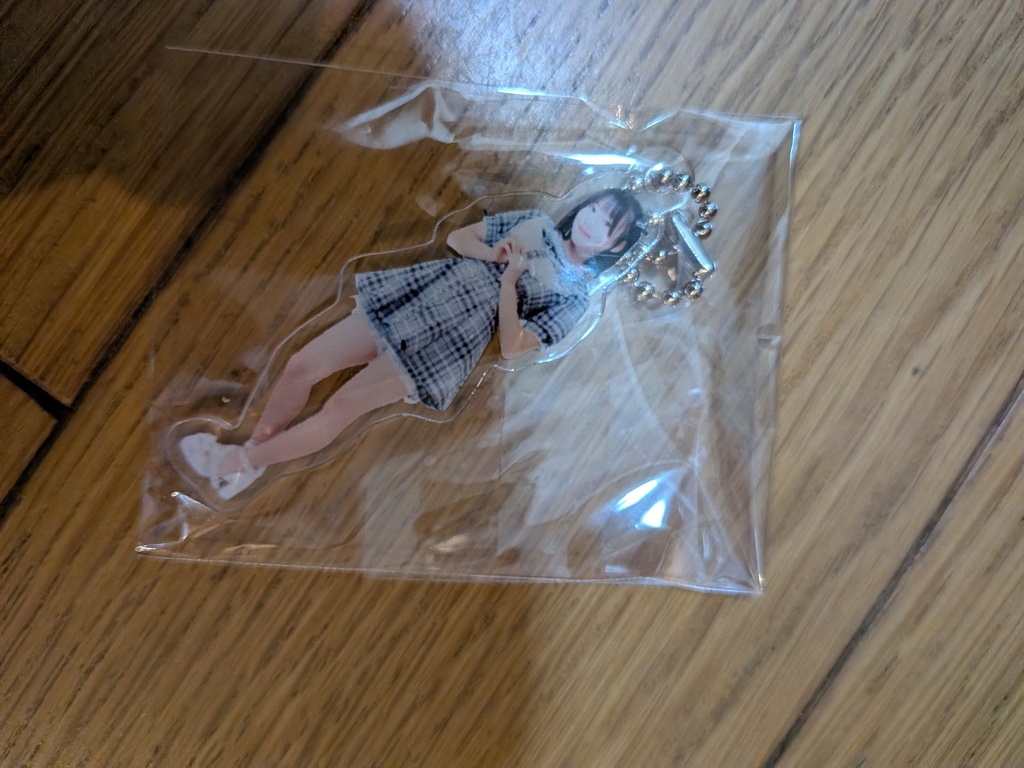 アクキータイプ1