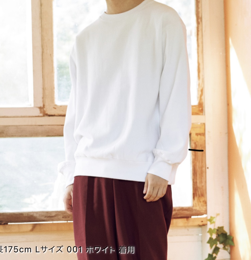 かくれんぼトレーナー