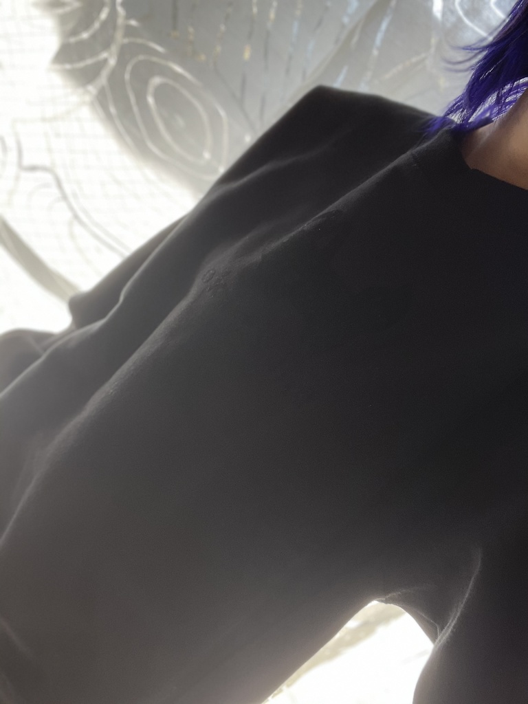 かくれんぼトレーナー