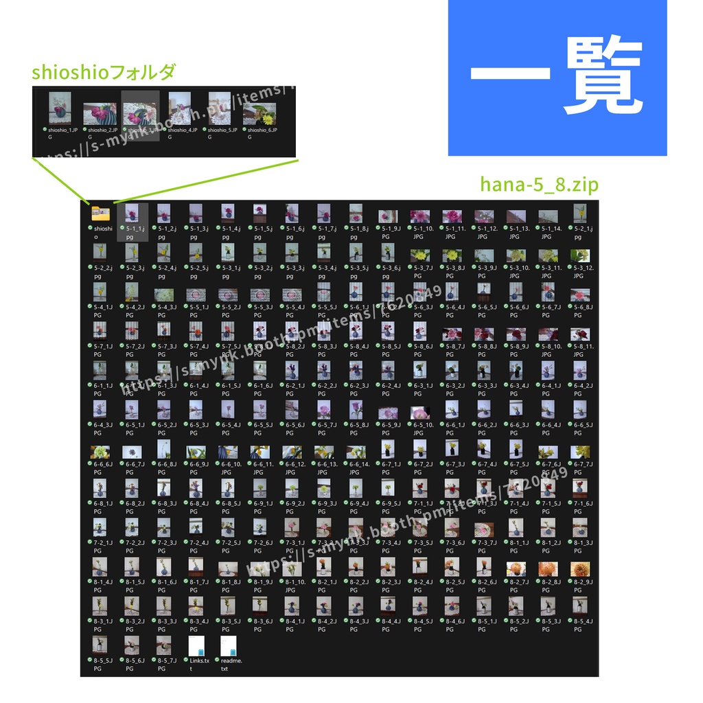 【写真資料】玄関に飾る花【5月~8月】