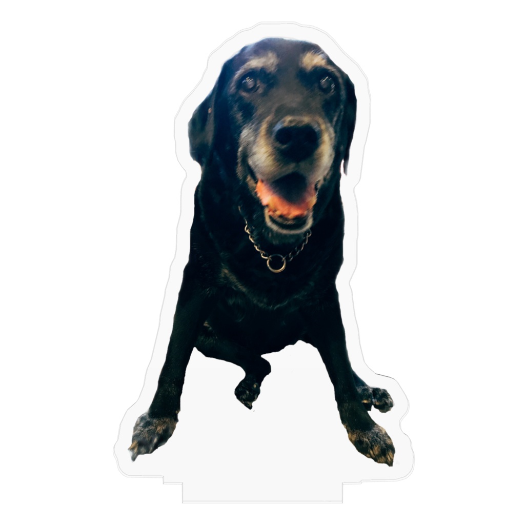 のんちゃん(ニッコニコ)アクリルフィギュア