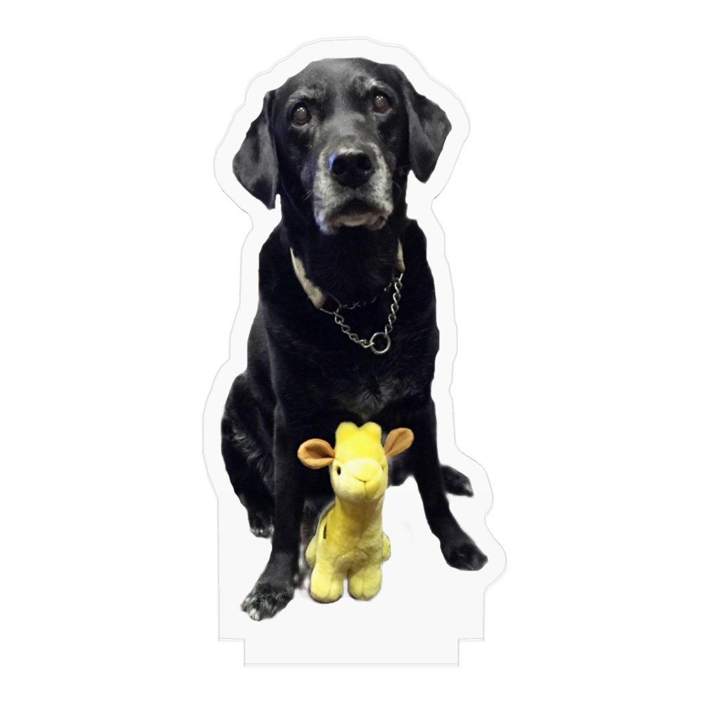 のんちゃん(きりん)アクリルフィギュア