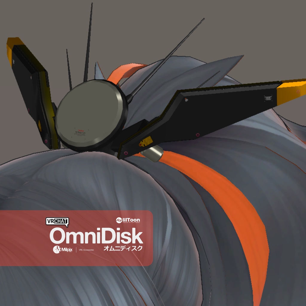 Omnidisk