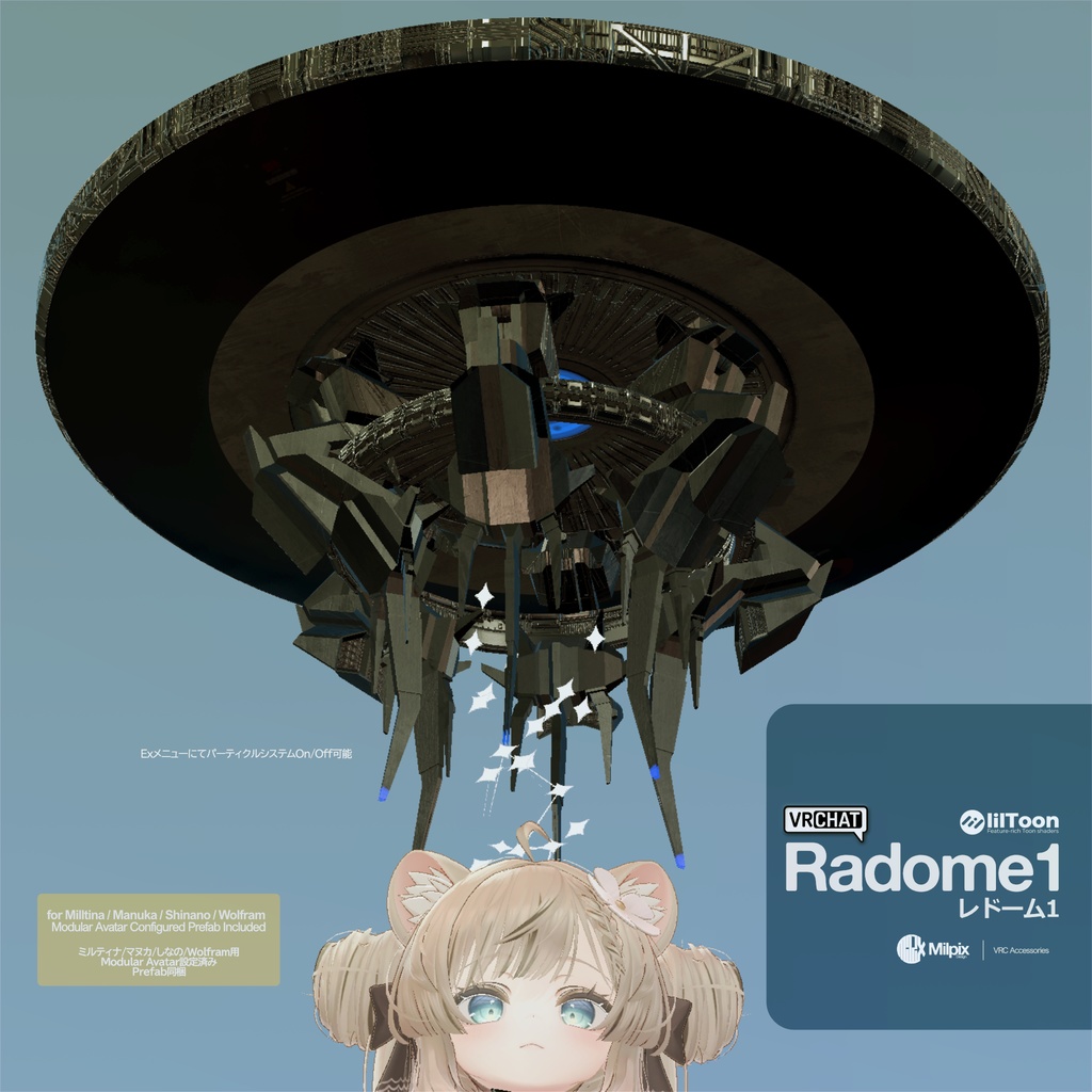 Radome1