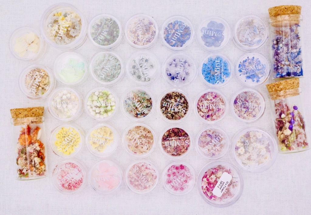 【オーダーメイド2026年1月受注分】1/12スケールミニチュアハーバリウムヴァイオリン 完成品