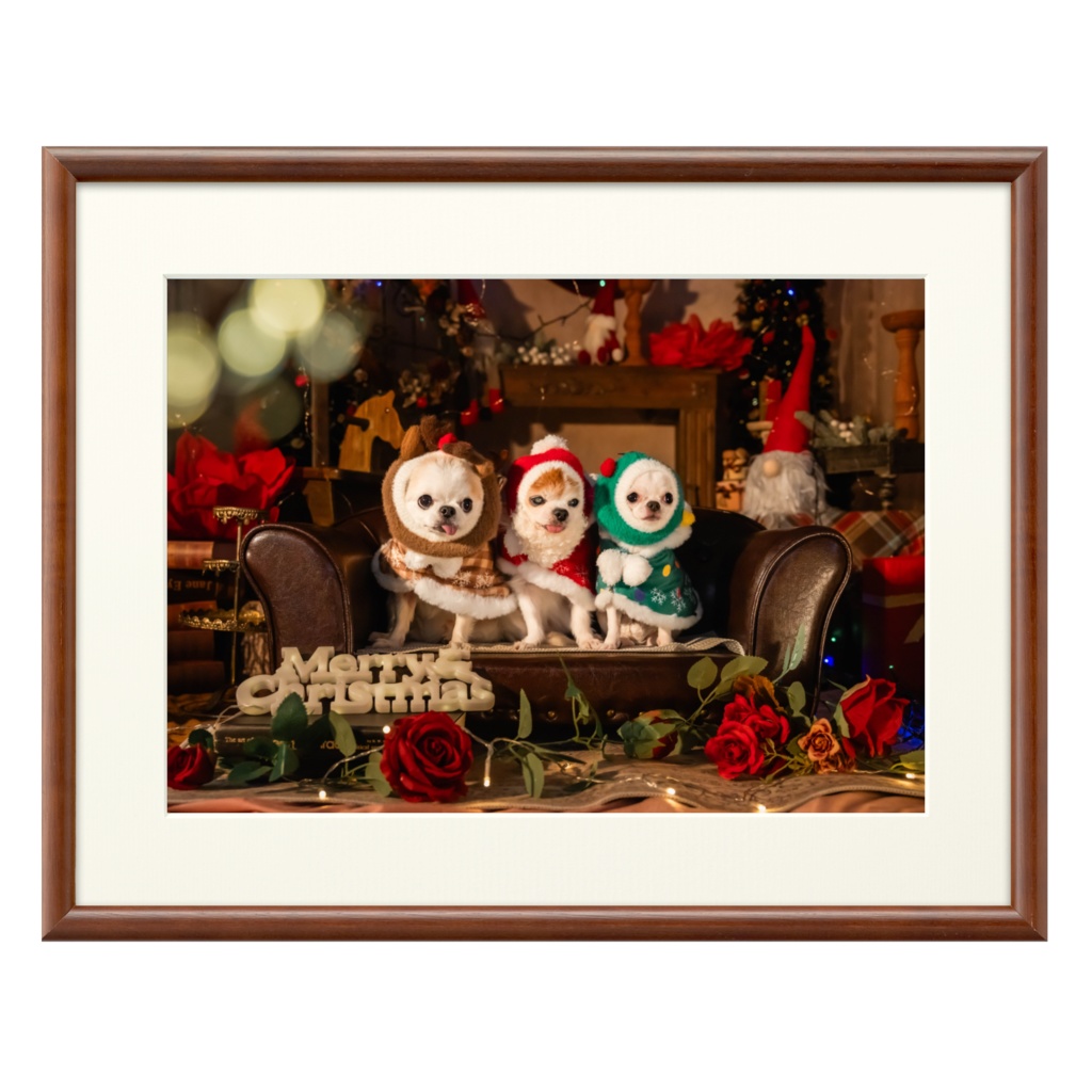 ３つの陽だまり　奇跡の１枚