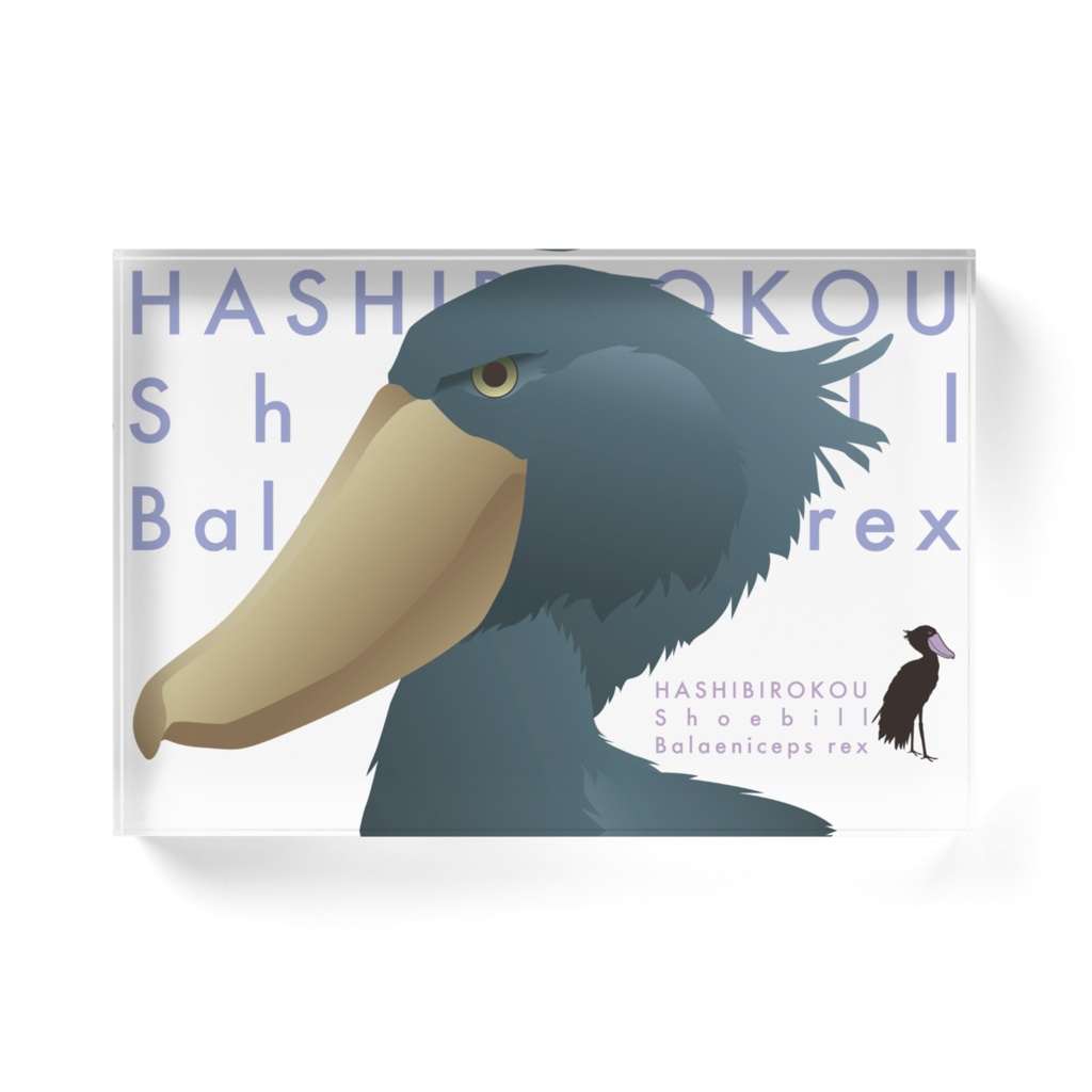 ハシビロコウ(2/5)02 アクリルブロック