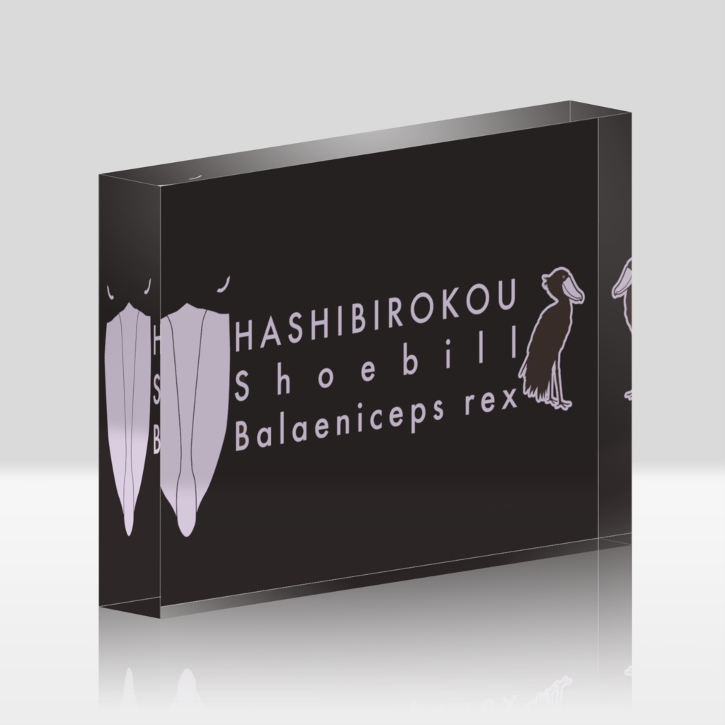 ハシビロコウ(3/5)　アクリルブロック