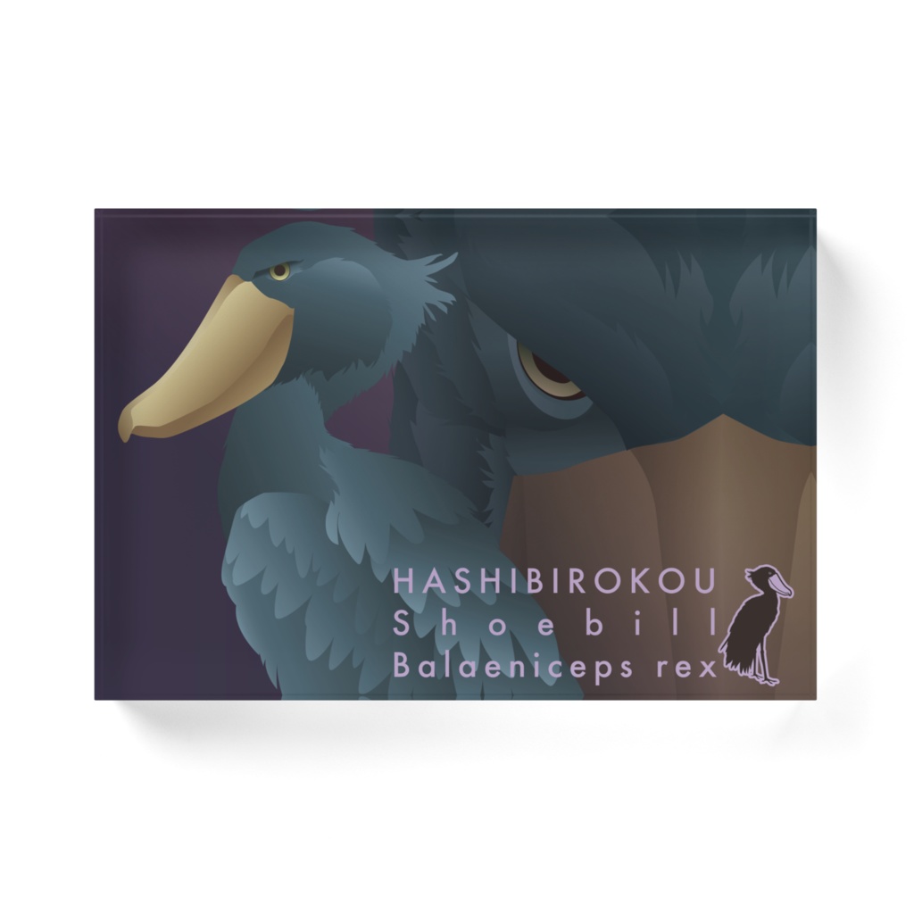 ハシビロコウ(5/5) アクリルブロック