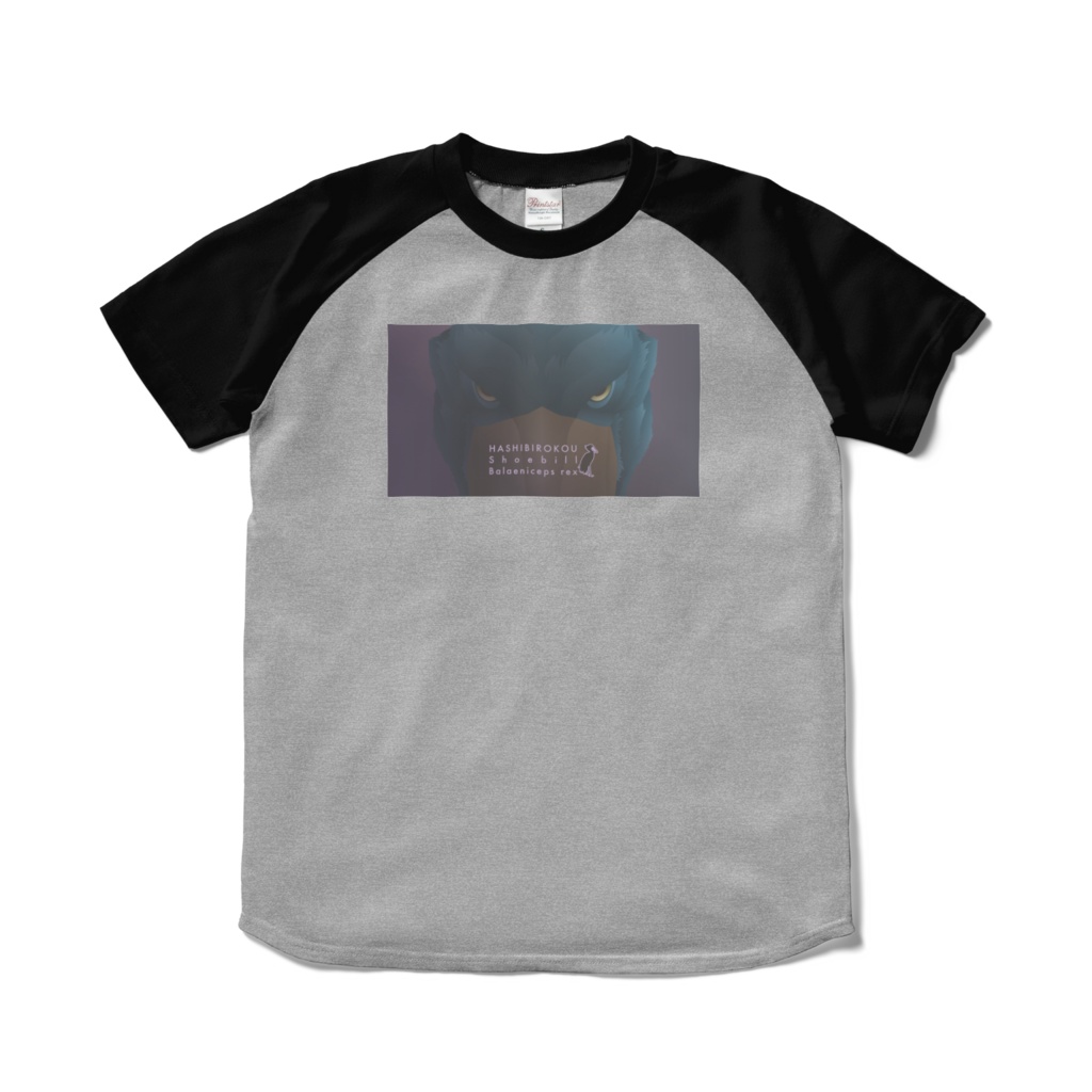 ハシビロコウ(4/5)　ラグランTシャツ