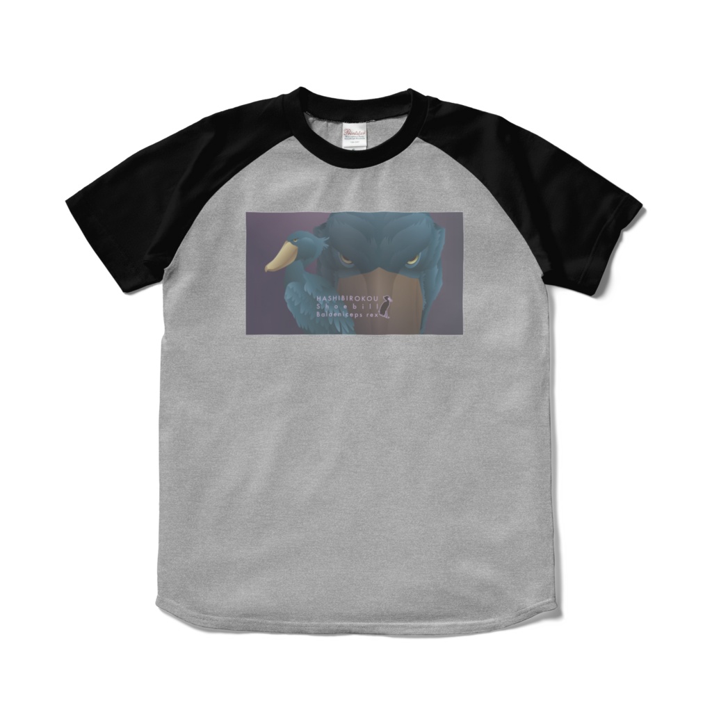 ハシビロコウ(5/5)　ラグランTシャツ