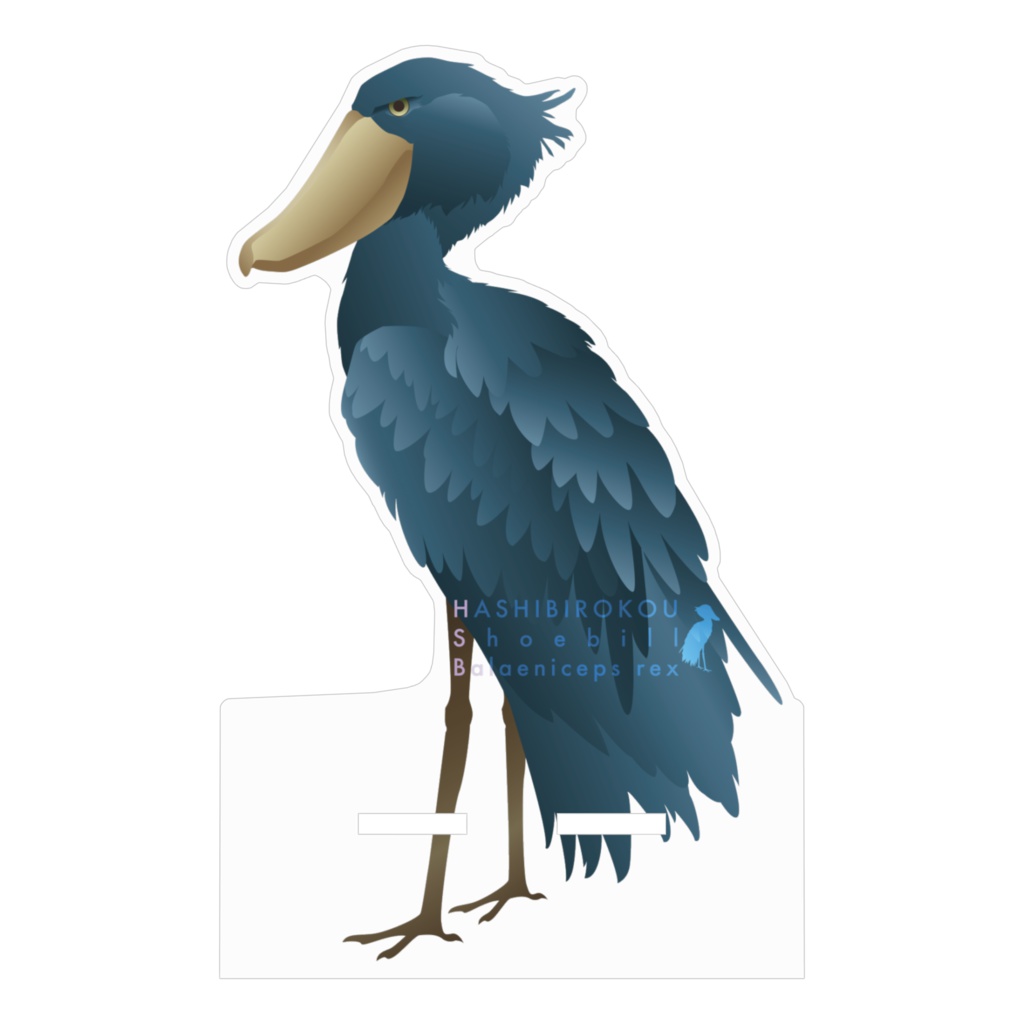 ハシビロコウ(2/5) アクリルスマホスタンド