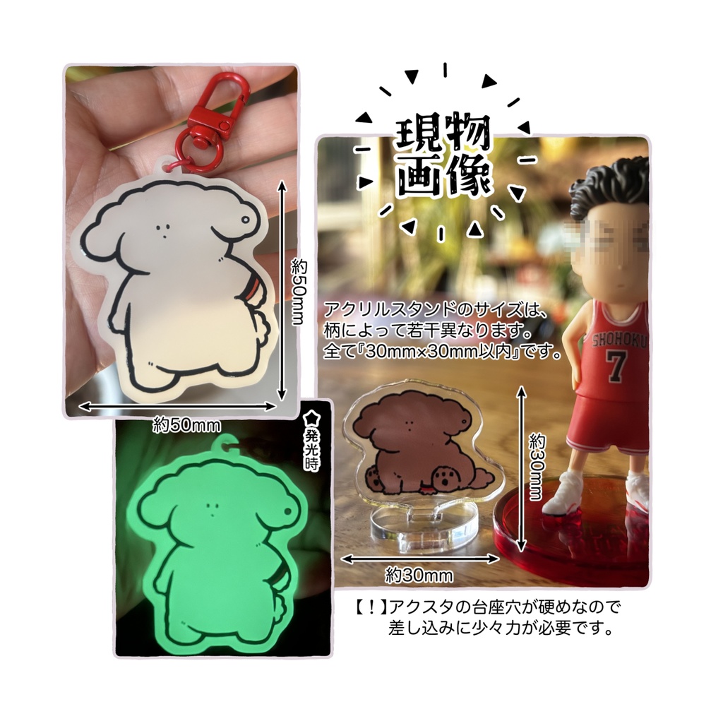 『暗闇で光るいぬ』『ミニアクスタくじ』セット