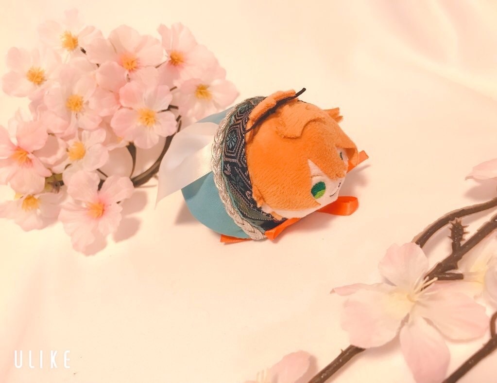 刀ミュ二部モチーフ もちマスマント