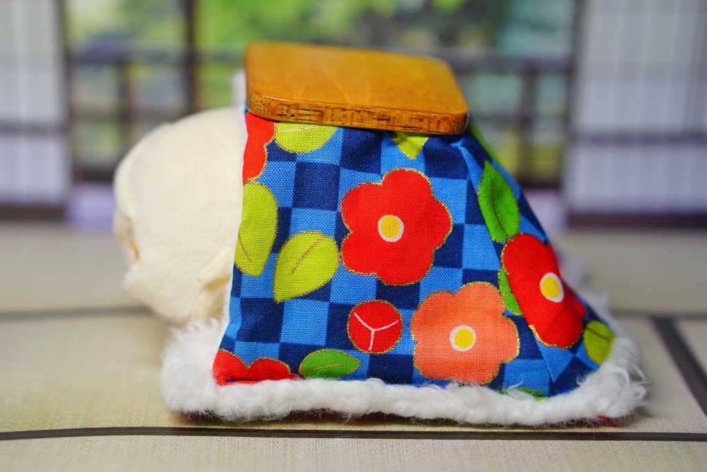 おひとりさまこたつ