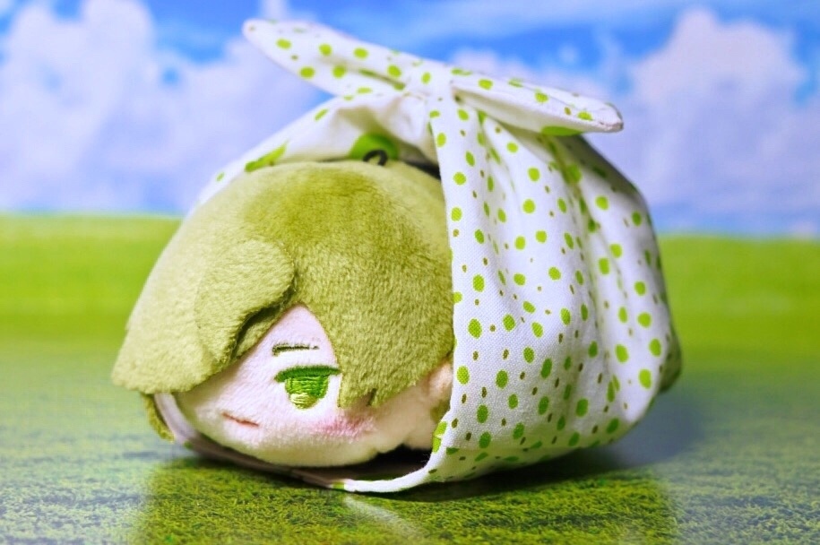 おひとりさま風呂敷