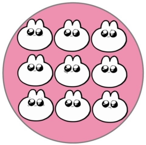 B.うさぴっぴの集会