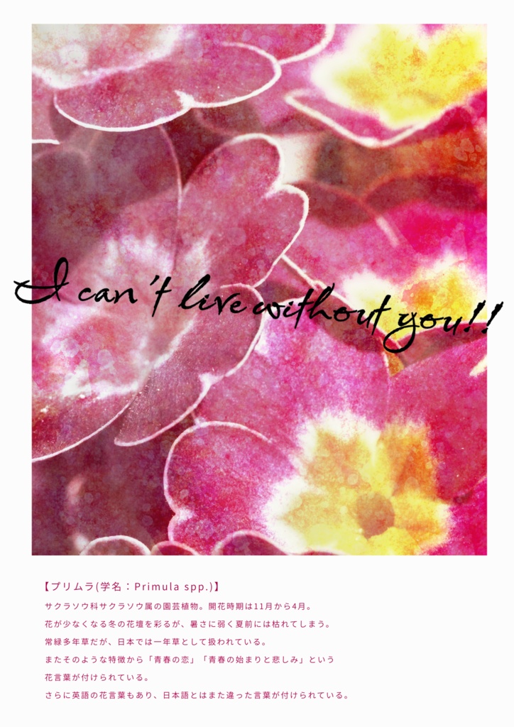 【CoC6版シナリオ】プリムラ・プシュカル・プレジール【SPLL:E194034】