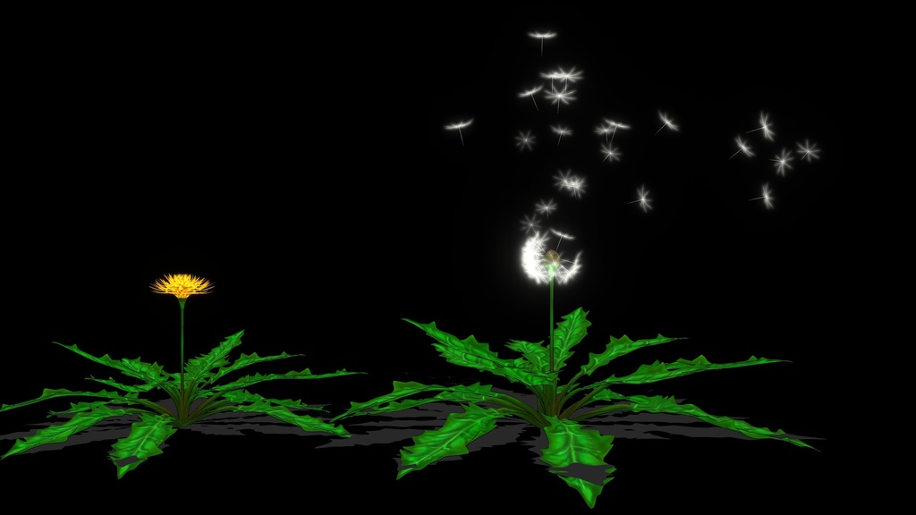 【無料素材】たんぽぽ