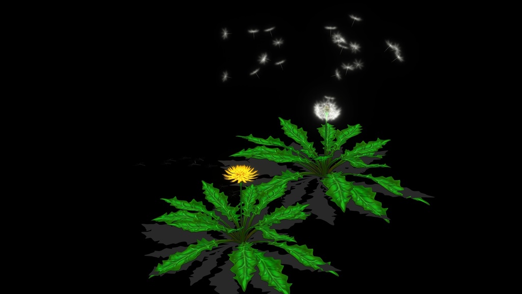 【無料素材】たんぽぽ