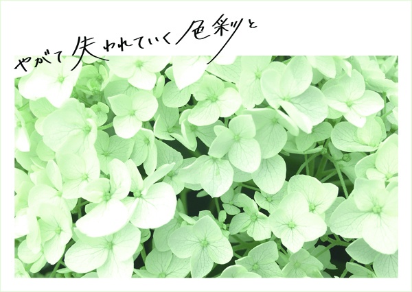 やがて失われていく色彩と