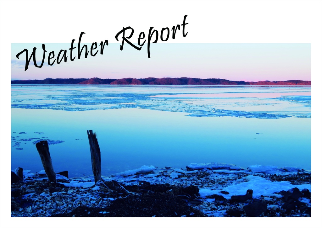 Weather Report｜2022年3月号