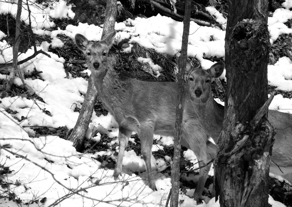 Weather Report|2022年6月号