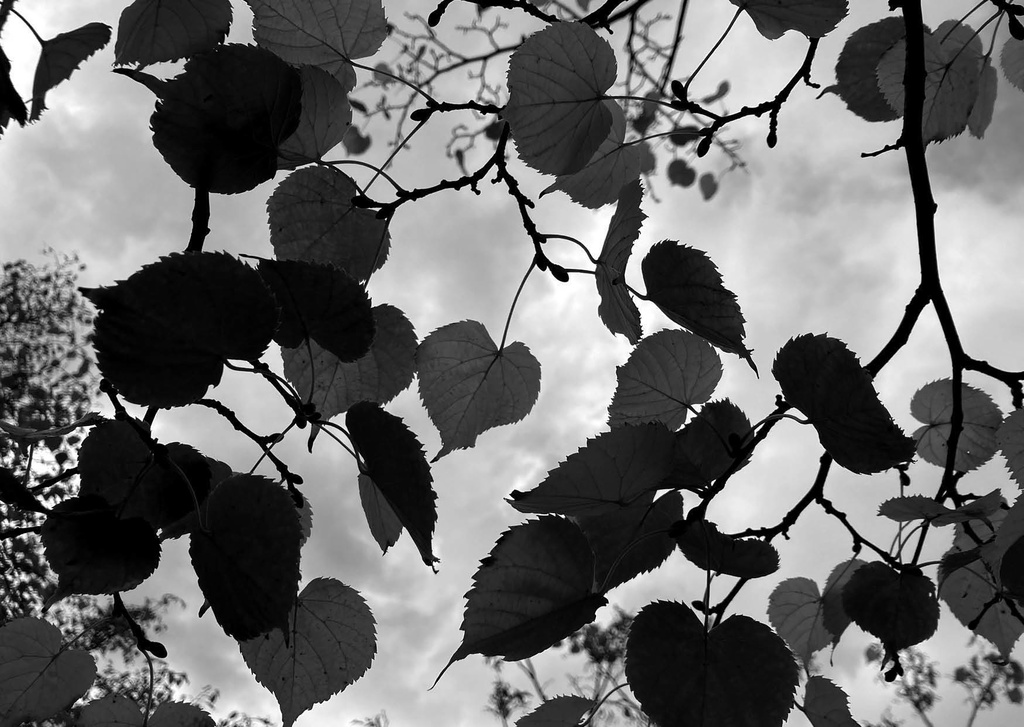 Weather Report|2022年12月号(最終号)