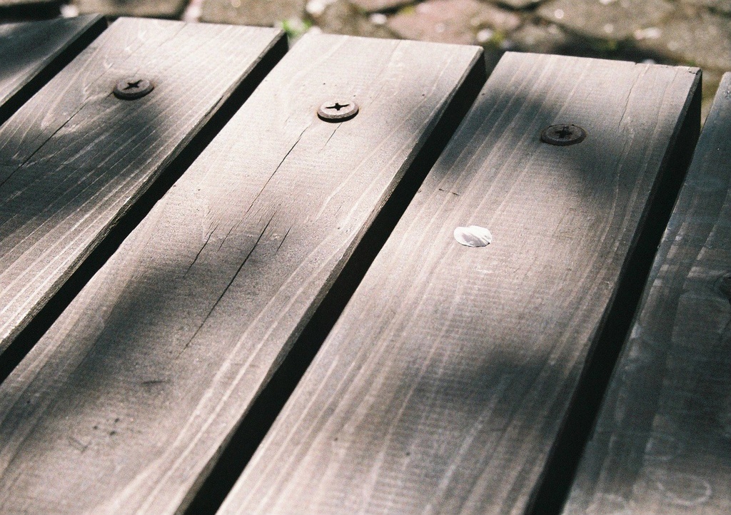 春