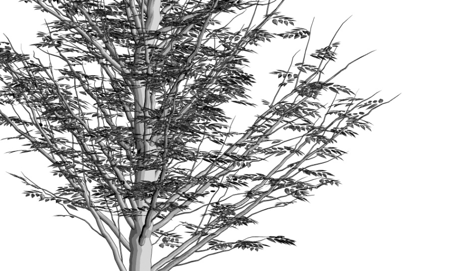 clipstudio用【3D】ケヤキの木 (6パターン)