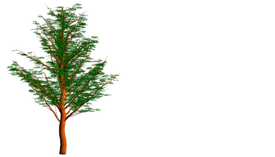 clipstudio用【3D】ケヤキの木 (6パターン)