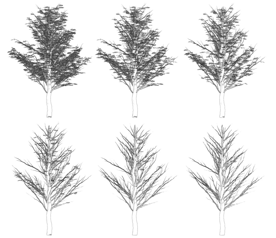 clipstudio用【3D】ケヤキの木 (6パターン)