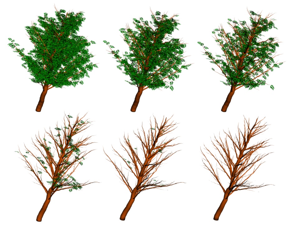 clipstudio用【3D】ケヤキの木 (6パターン)