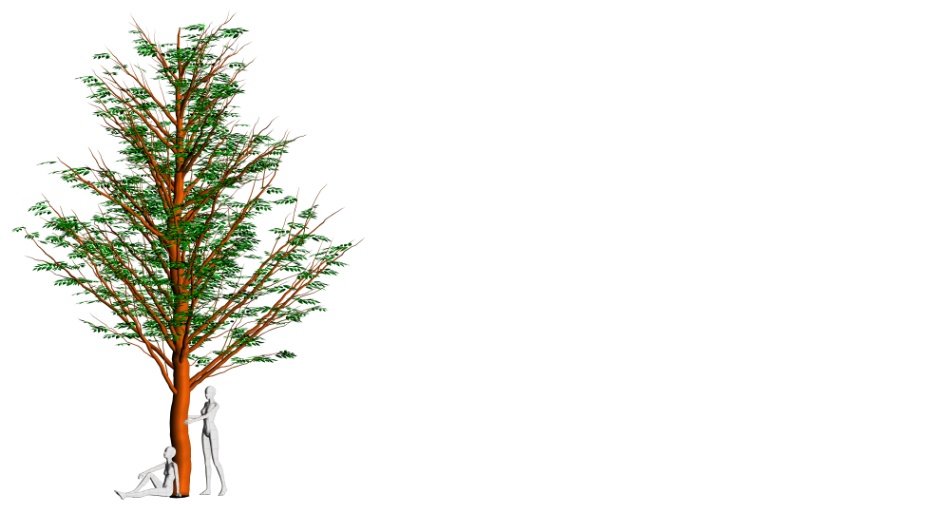 clipstudio用【3D】ケヤキの木 (6パターン)